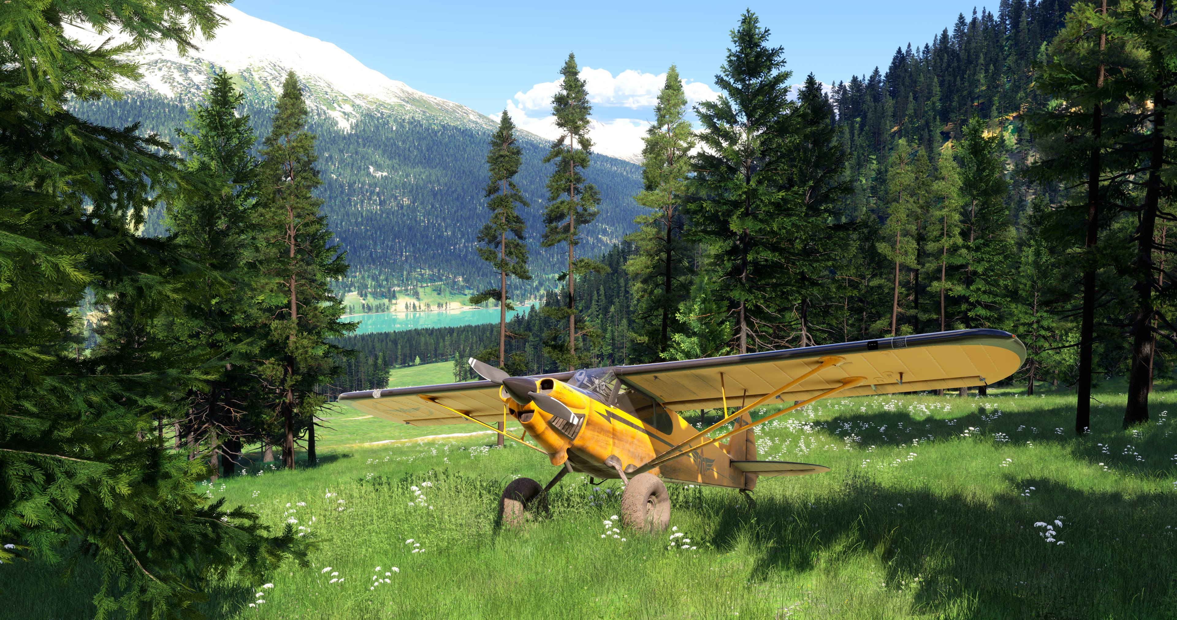 Microsoft Flight Simulator 2024 - Imagen 17